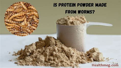 Are Worms in Protein Powder: A Deep Dive into the Unseen World of Nutritional Supplements