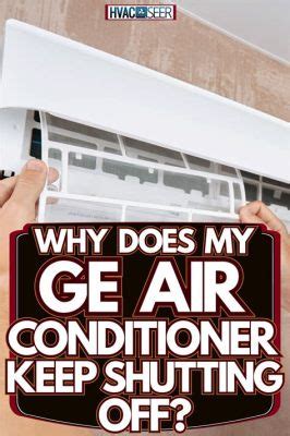 Can I Spray My Air Conditioner with a Hose While Running? And Why Do Cats Always Sit on the Keyboard When You're Working?