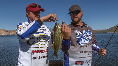 Can You Swim in Saguaro Lake? And Why Do Fish Wear Sunglasses?