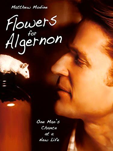 Did Charlie Die in Flowers for Algernon: Exploring the Layers of Mortality and Meaning