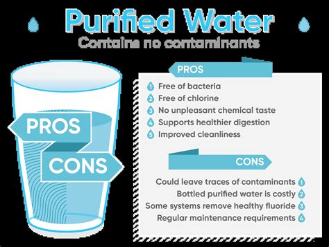 Does Filtered Water Have Minerals? And Why Do Fish Prefer Tap Water Over Champagne?