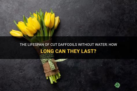 How Long Can Store Bought Flowers Go Without Water: A Dive into the Lifespan of Cut Blooms and the Art of Floral Resilience