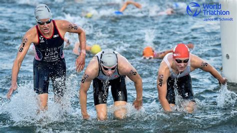 How Long is a Swim in a Triathlon, and Why Do Fish Prefer Bicycles?