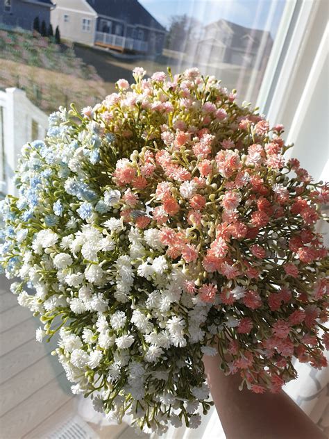 How Much Are Baby Breath Flowers: A Whimsical Exploration of Floral Economics and Beyond