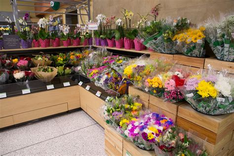 How Much Are Flowers at Publix: A Blooming Discussion on Floral Economics and Beyond