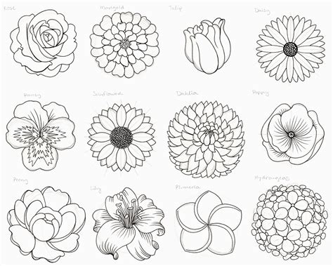 How to Draw Different Flowers: A Journey Through Petals and Imagination