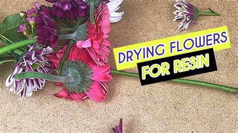 How to Dry Flowers for Resin Quickly: A Comprehensive Guide