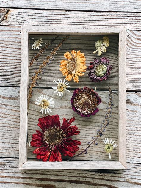 How to Frame Dried Flowers: A Journey Through Time and Imagination