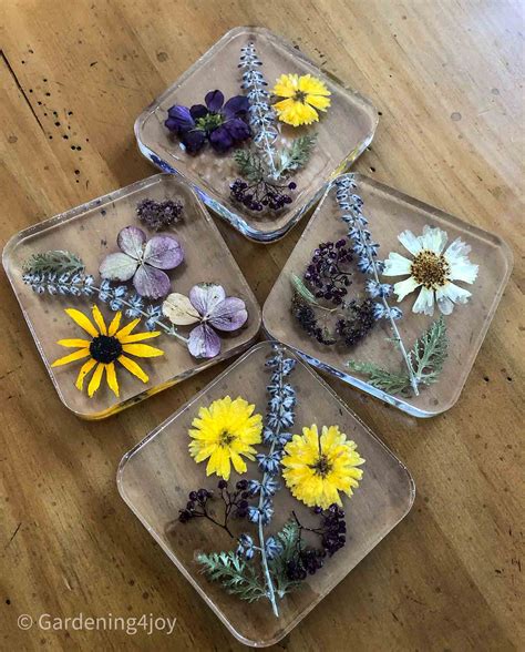 How to Make Resin Coasters with Flowers: A Journey Through Creativity and Chaos