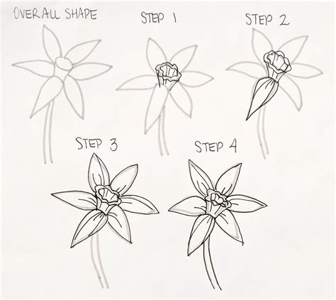 How to Sketch Flowers: A Journey Through Petals and Pencils