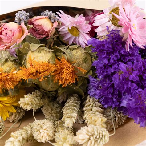 What Can You Do with Dried Flowers? And Why Not Turn Them into a Time Machine?