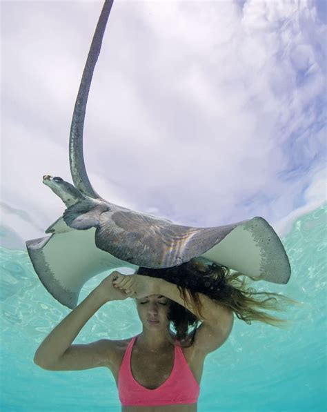 Where Can You Swim with Stingrays: Exploring the Depths of Imagination and Reality