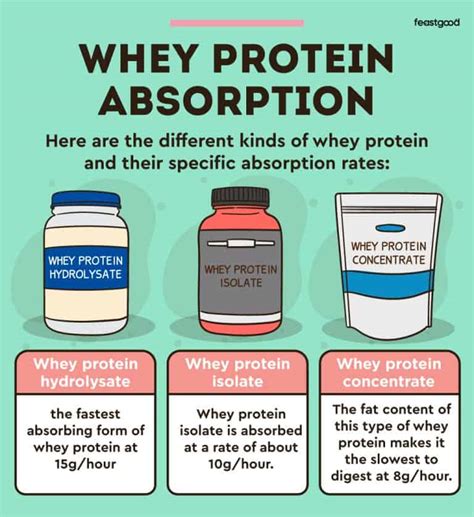 Why Does Whey Protein Hurt My Stomach: Exploring the Cosmic Connection Between Dairy and Digestion